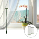 Hastes para Suporte de Plantas Bigstock (KIT 20 PCS)