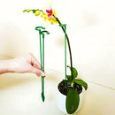Hastes para Suporte de Plantas Bigstock (KIT 20 PCS)