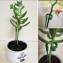 Hastes para Suporte de Plantas Bigstock (KIT 20 PCS)