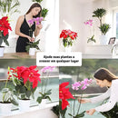 Hastes para Suporte de Plantas Bigstock (KIT 20 PCS)