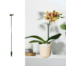 Hastes para Suporte de Plantas Bigstock (KIT 20 PCS)