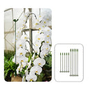 Hastes para Suporte de Plantas Bigstock (KIT 20 PCS)