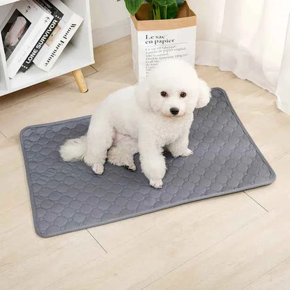Tapete Antiderrapante para Cachorro Reutilizável
