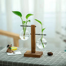 Vaso Decorativo Terrário de Plantas com Suporte