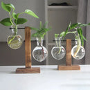 Vaso Decorativo Terrário de Plantas com Suporte