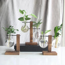 Vaso Decorativo Terrário de Plantas com Suporte